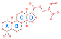 Steroid nomenclature — numbering of carbons