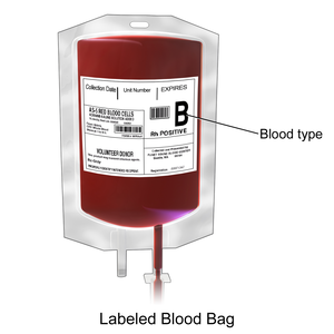 Blausen 0086 Blood Bag.png