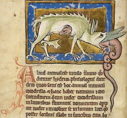 Hydrus royal MS12.jpg