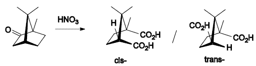 Camphor-Camphor acid.png