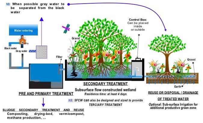 SchemConstructedWetlandSewage.jpg