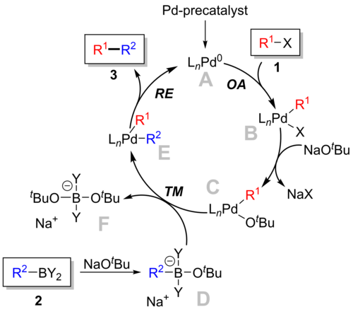 Reaciton Mechanism of Suzuki reaction.png