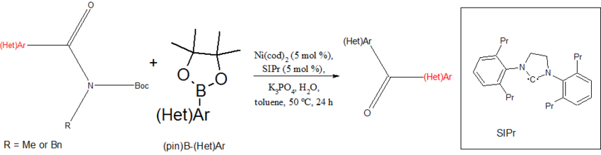 Suzuki-Miyaura coupling amides.png