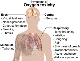 A diagram showing a male torso and listing symptoms of oxygen toxicity: Eyes – visual field loss, nearsightedness, cataract formation, bleeding, fibrosis; Head – seizures; Muscles – twitching; Respiratory system – jerky breathing, irritation, coughing, pain, shortness of breath, tracheobronchitis, acute respiratory distress syndrome.