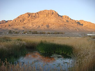 Glossary of environmental terms