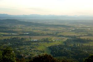 Tamborine Mountain 3.jpg