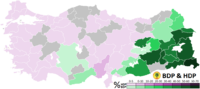 2014 Turkish local elections BDP & HDP.png