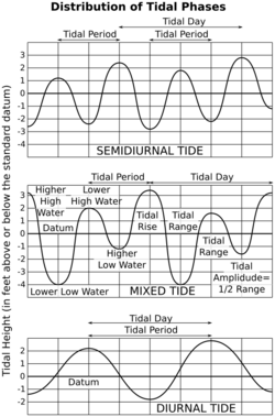 Three graphs. The first shows the twice-daily rising and falling tide pattern with nearly regular high and low elevations. The second shows the much more variable high and low tides that form a "mixed tide". The third shows the day-long period of a diurnal tide.