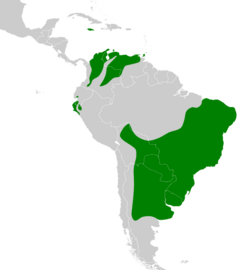 Sicalis flaveola map.svg