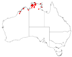Drosera brevicornisDistMap13.png