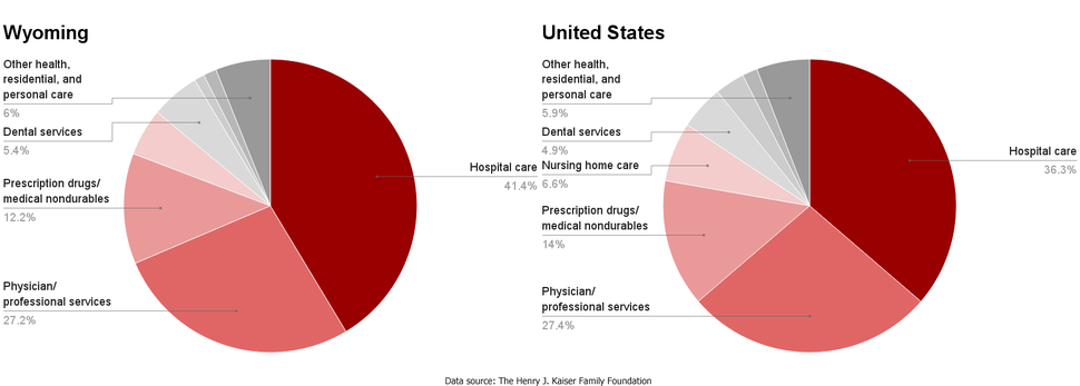 WY-US healthcare spending by service.png