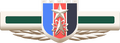 Emblem of the Chinese Strategic Space Forces