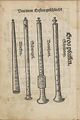 Cornett, shawms from Martin Agricola's book "Musica instrumentalis deudsch", published 1529. From left: straight cornett, three-hole pipe, bombard, shawm.