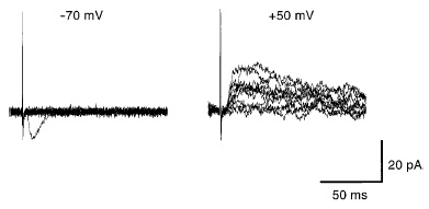 Alternative models for silent synapses