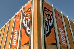 ROAR Banners on the Fine Arts Building