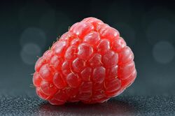 Raspberry - whole (Rubus idaeus).jpg