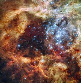 Grand star-forming region R136 in NGC 2070 (captured by the Hubble Space Telescope).jpg