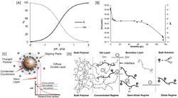 Zeta potential, pKa and complex polymers