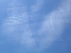 Cirrocumulus undulatus in various directions.JPG