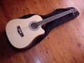 Ashton Acoustic Bass