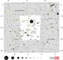 Canis Major