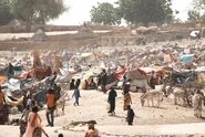 Sudanese refugee camp in Chad during Sudanese civil war (2023).