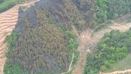 The crash site of China Eastern Airlines Flight 5735 in Wuzhou, China