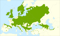 Ulmus glabra range.svg