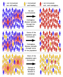 Herd immunity.svg