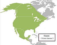 Coyote range.jpg