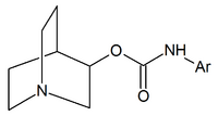 Qhinoclidine carbamates.png