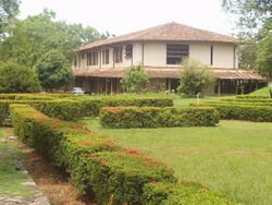 Modern two-story building, with a lawn and hedges on the side
