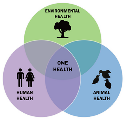 Venn diagram showing the overlap of human health, animal health, and environmental health.