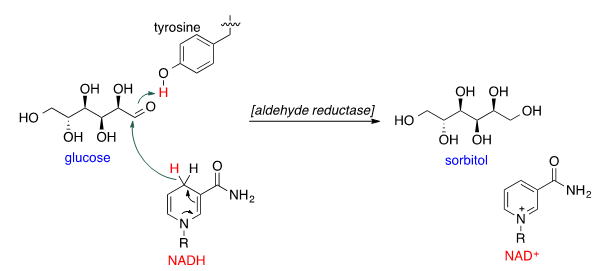Mechanism of glucose reduction reaction.png