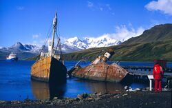 Grytviken WhalingBoats NOAA.jpg