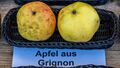 Apfel aus Grignon jm55128.jpg