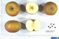 Ashmead's Kernel.JPG