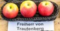 Freiherr von Trautenberg jm55172.jpg