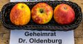 Geheimrat Dr. Oldenburg jm55179.jpg