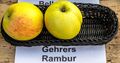 Gehrers Rambur jm55187.jpg