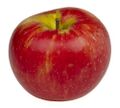 Honeycrisp-Apple.jpg