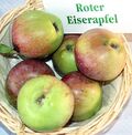 Malus-Roter-Eiserapfel.jpg