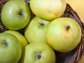 Malus Gelber Edelapfel 4464.jpg
