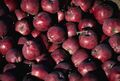 Red delicious apples.jpg