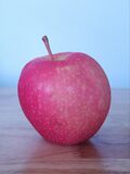Wild Twist apple cultivar.jpg