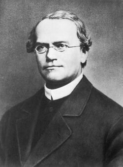 Gregor Mendel 2.jpg