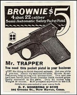 Mossbergbrownie.jpg