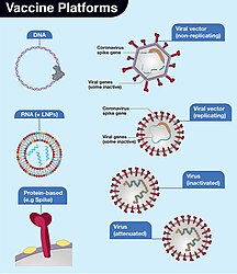 Different vaccine candidate types in development for SARS-CoV-2