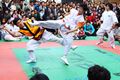 Taekkyeon-taekkyon-01.jpg