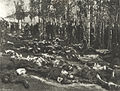 Armeense slagoffers van die Erzurum-pogrom (1895)